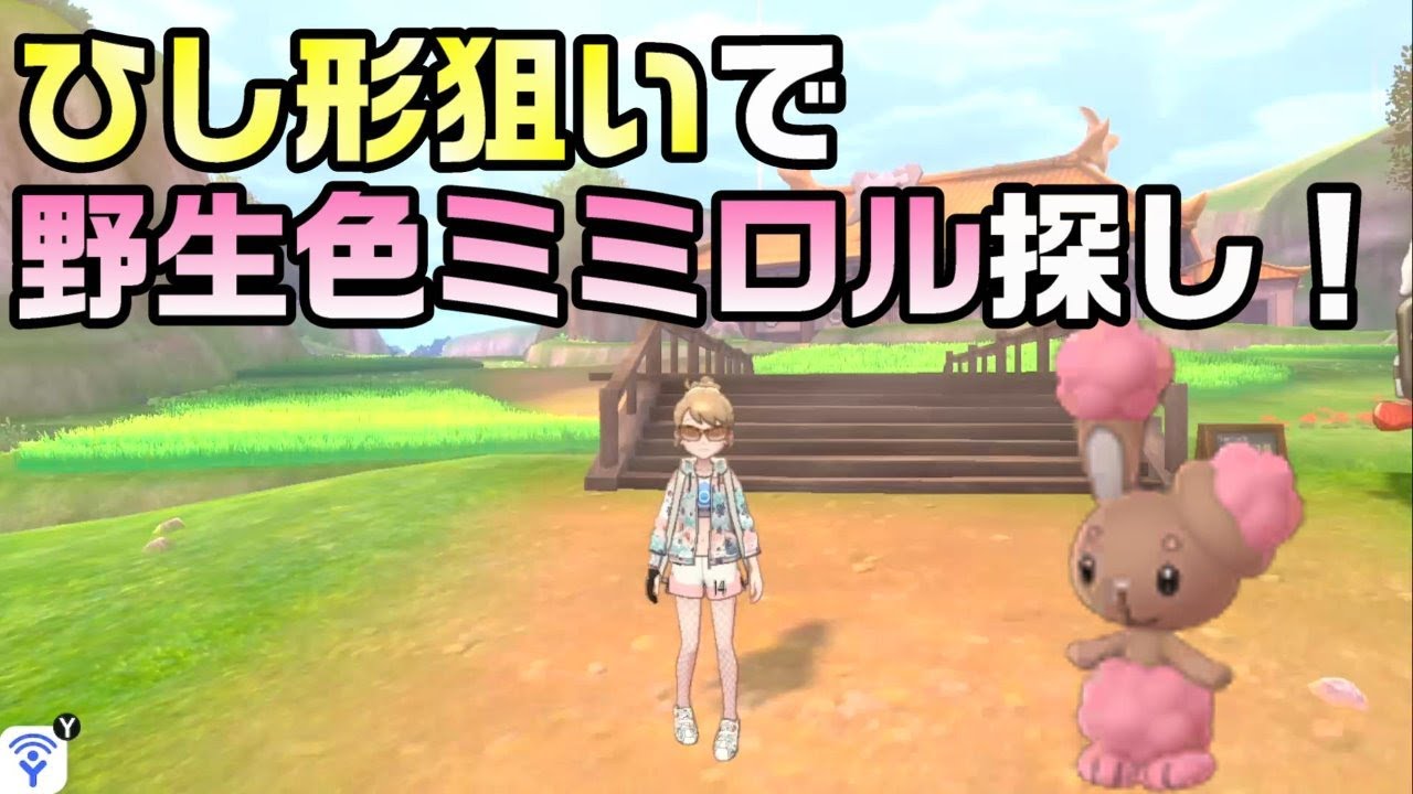 ひし形色違いミミロルが欲しいので野生で粘ります