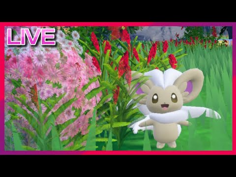 待望のチラチーノ初陣いくぞ！！レギュF仲間大会【ポケモンSV】