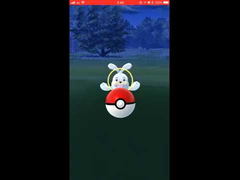 【Pokémon GO Excellent Throw】086 パウワウ (Seel)