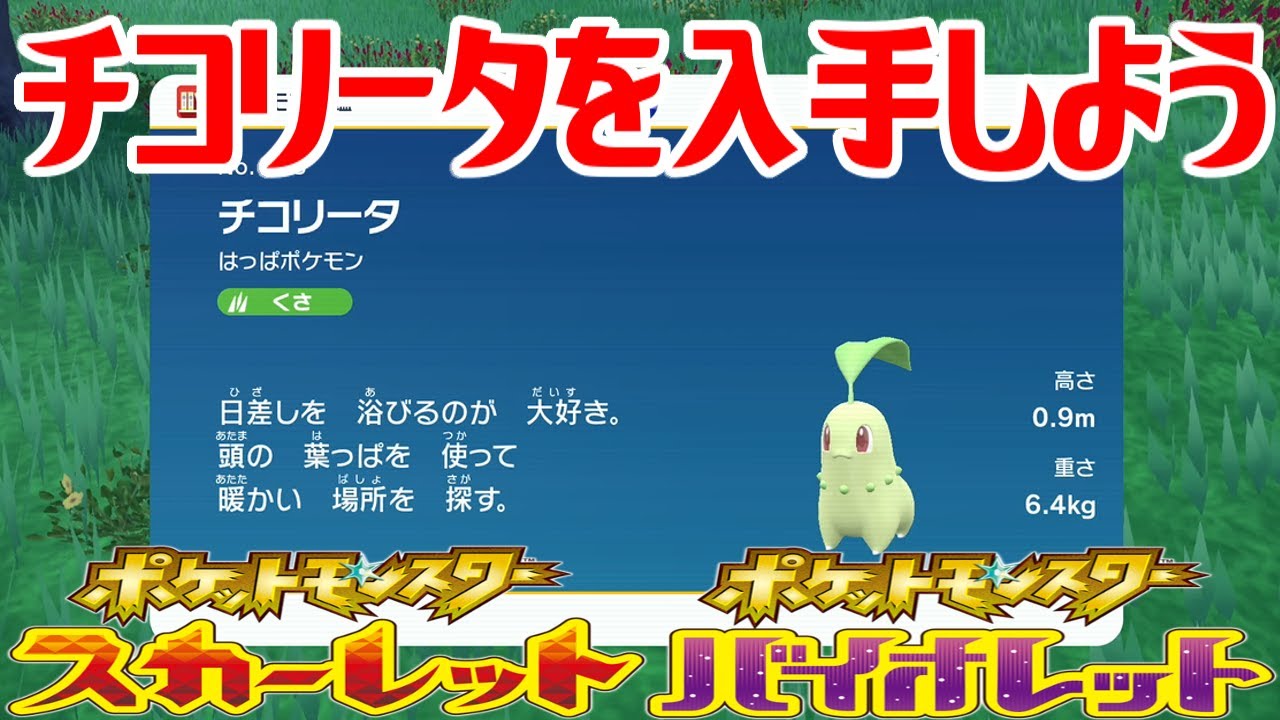 【ポケモンSV】チコリータを入手しよう【ポケットモンスター スカーレット・バイオレット ゼロの秘宝 藍の円盤】Pocket Monsters