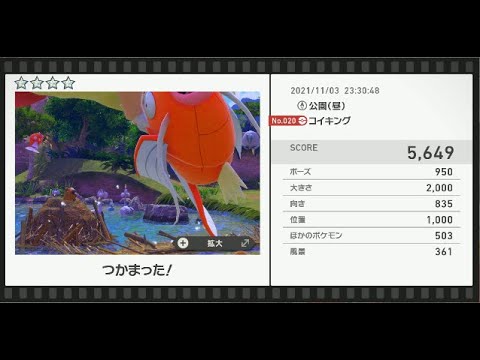 Newポケモンスナップ　★4コイキング【5649】
