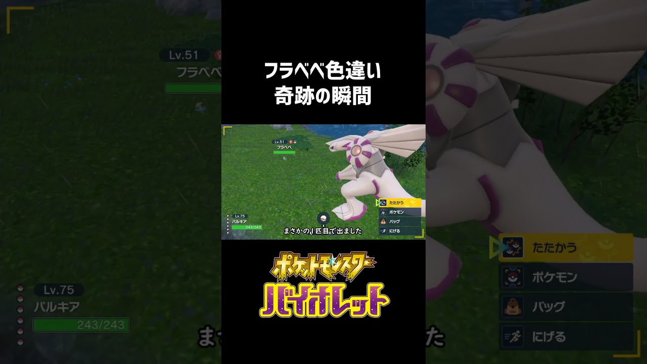 フラベベ色違い探しの奇跡【ポケモンSV】
