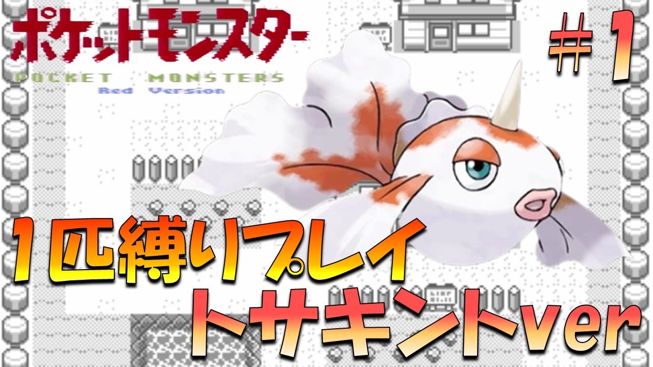 【ポケモン初代】ポケモン1匹縛りプレイ!! トサキントきみに決めた！part 1【ゲーム実況】【縛りプレイ】