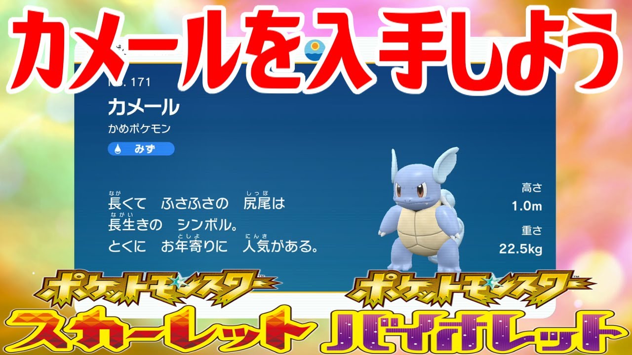 【ポケモンSV】カメールを入手しよう 進化入手【ポケットモンスター スカーレット・バイオレット ゼロの秘宝 藍の円盤】Pocket Monsters