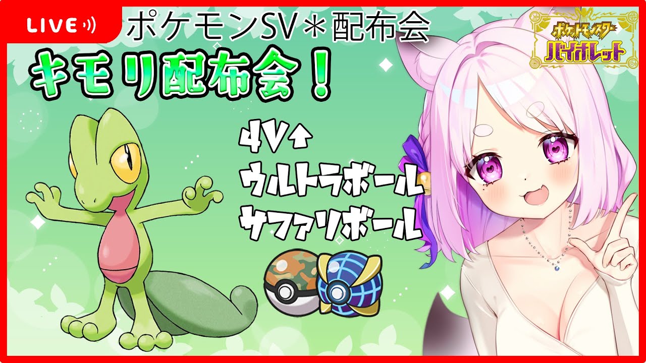 【#ポケモンsv 】キモリ配布会～！4V↑/ ウルトラボール＆サファリボール！初見さんも大歓迎☺