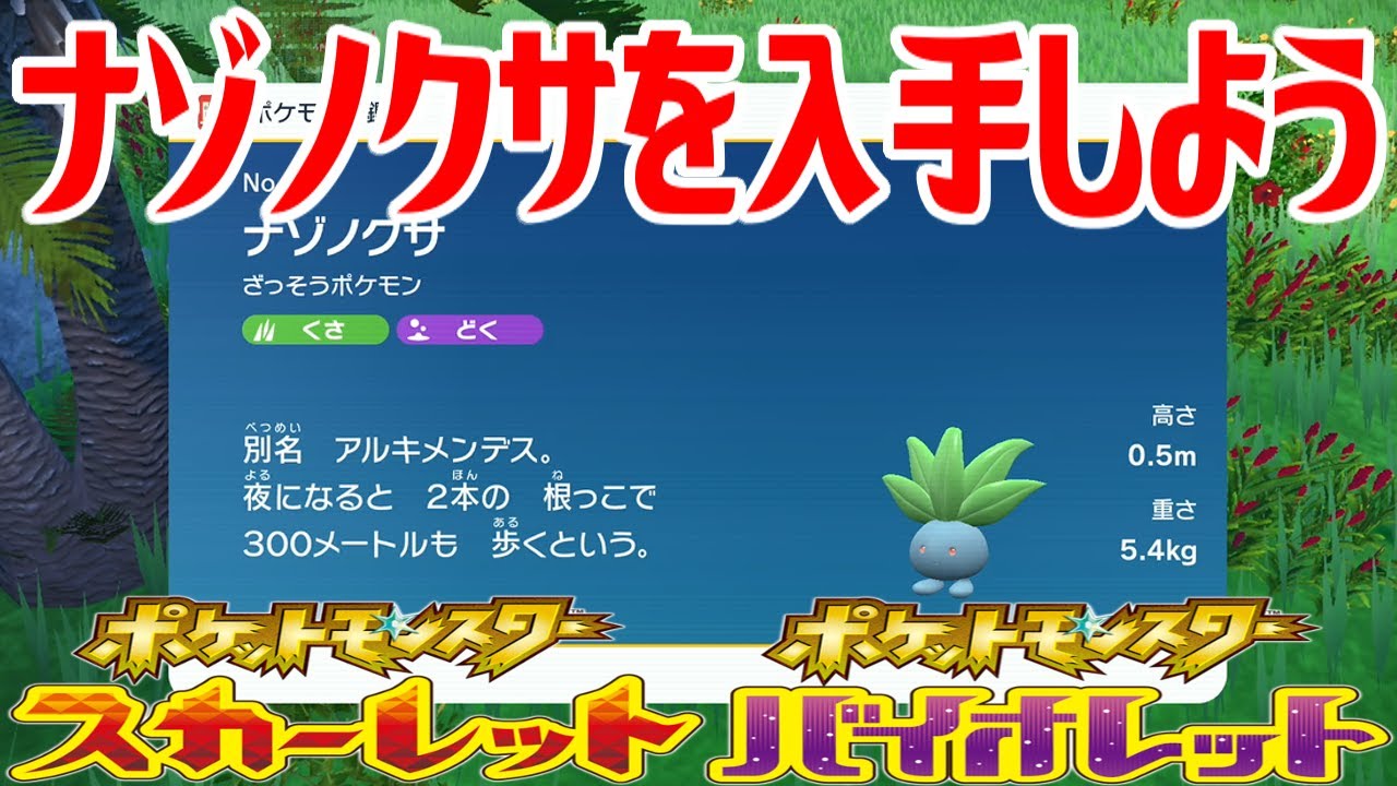 【ポケモンSV】ナゾノクサを入手しよう【ポケットモンスター スカーレット・バイオレット ゼロの秘宝 藍の円盤】Pocket Monsters