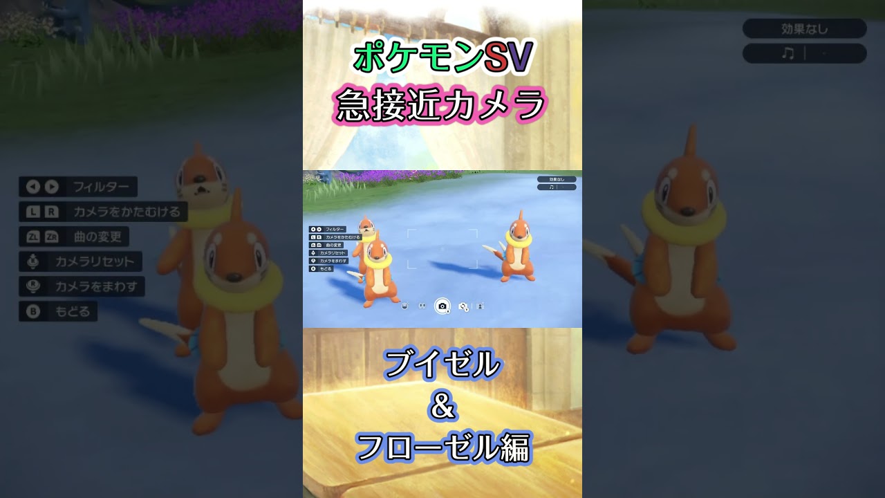 【ポケモンSV】ブイゼルとフローゼルに囲まれたかと思ったらそうでもないと思ったら最後にまだいるんかいってなった動画 #ポケモン #ポケモンsv #ブイゼル #フローゼル #shorts