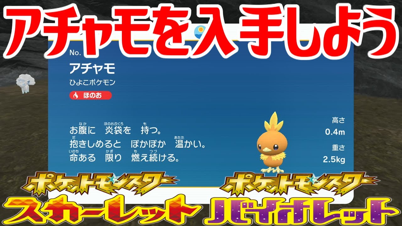 【ポケモンSV】アチャモを入手しよう【ポケットモンスター スカーレット・バイオレット ゼロの秘宝 藍の円盤】Pocket Monsters