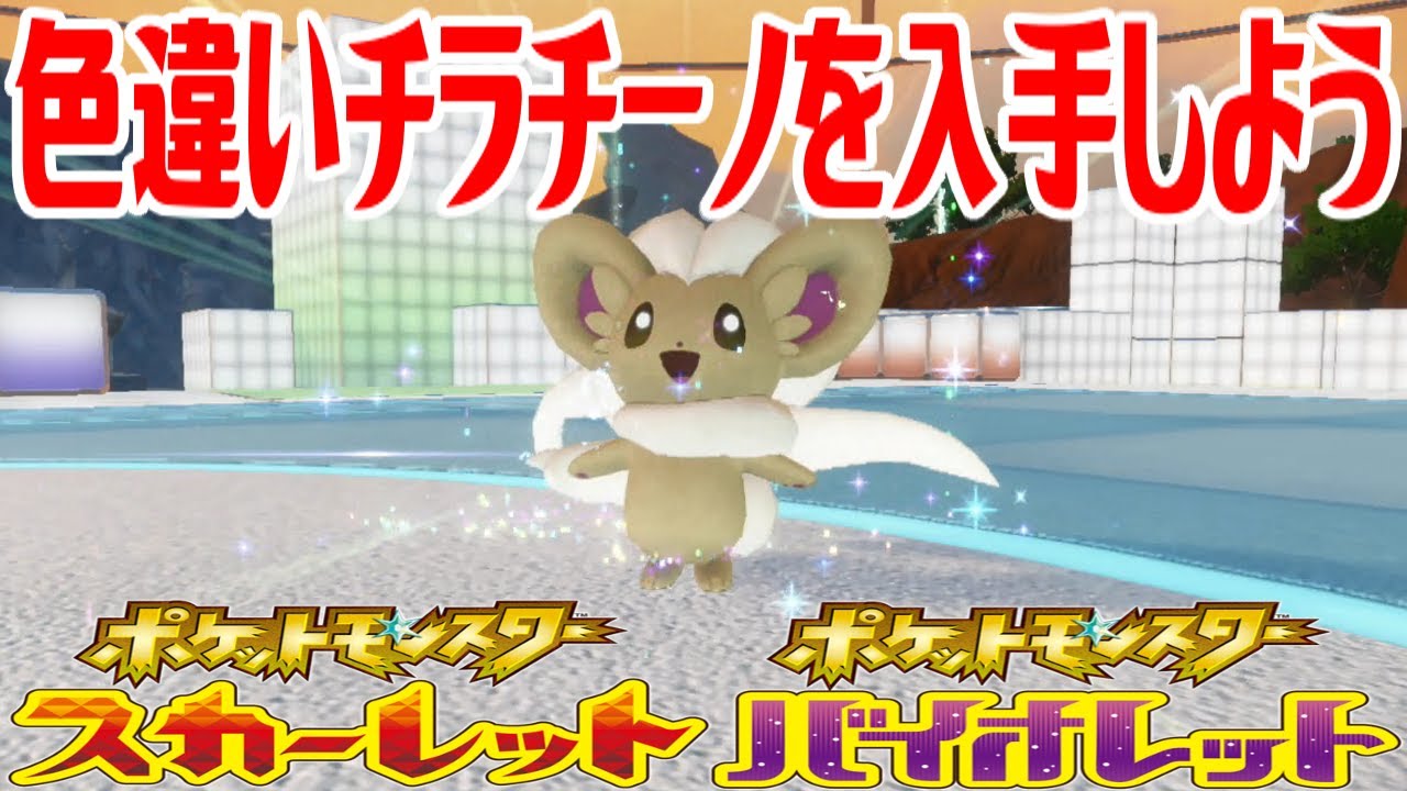 【ポケモンSV】色違いチラチーノを入手しよう 進化入手【ポケットモンスター スカーレット・バイオレット ゼロの秘宝 藍の円盤】Pocket Monsters