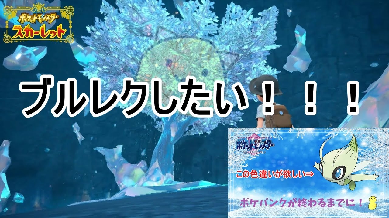 【ポケモンSV】ブルレクしたい！セレビィ色厳選【初見歓迎】