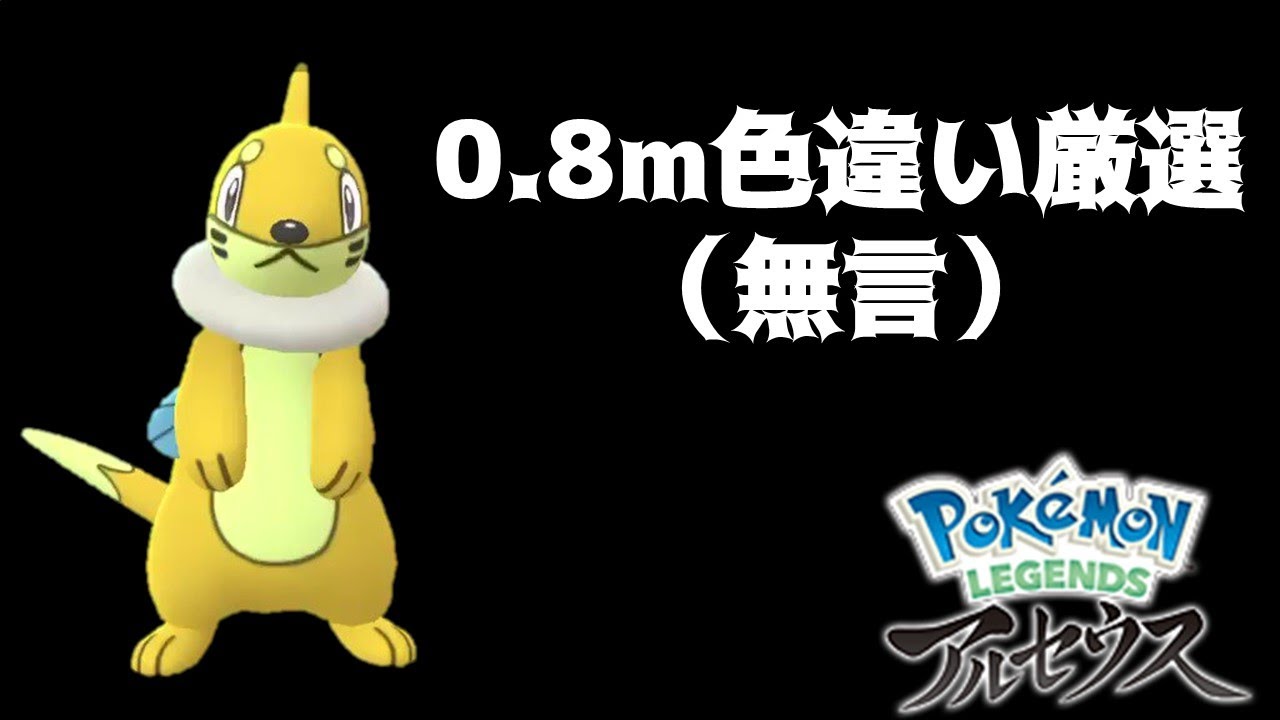 【無言作業配信】0.8ｍ色ブイゼル厳選兼大量発生100周検証【レジェンズアルセウス】