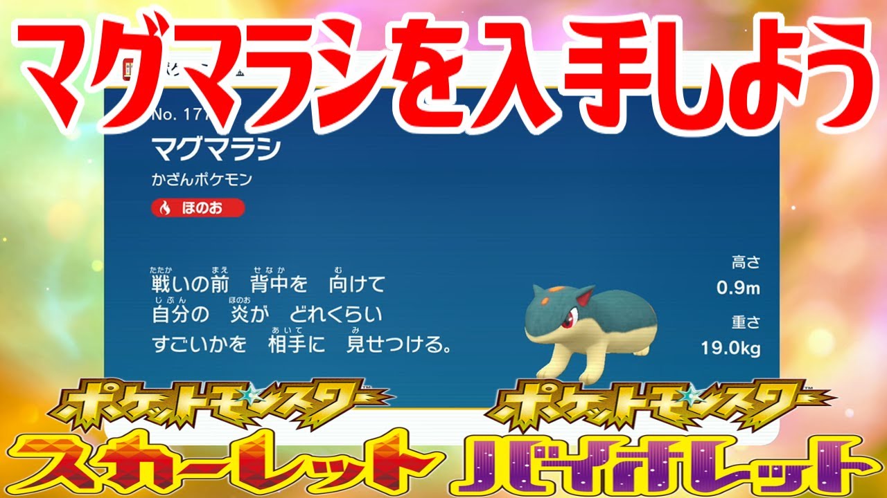 【ポケモンSV】マグマラシを入手しよう 進化入手【ポケットモンスター スカーレット・バイオレット ゼロの秘宝 藍の円盤】Pocket Monsters