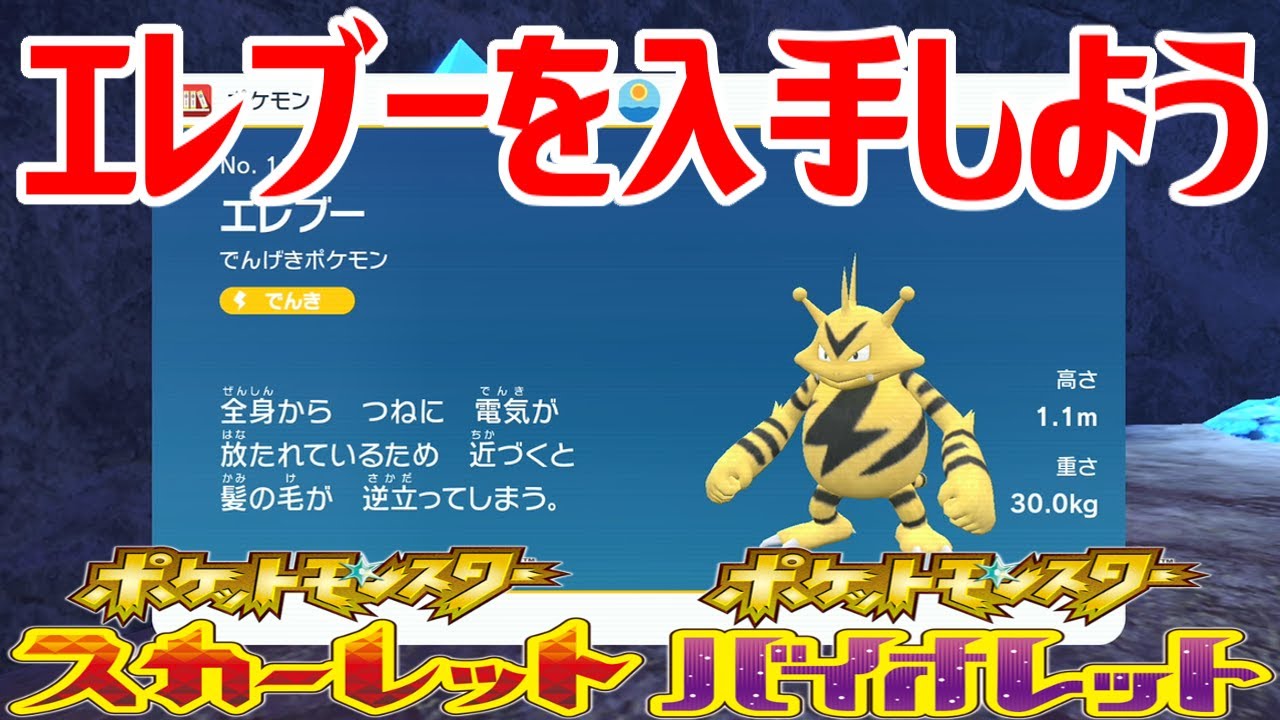 【ポケモンSV】エレブーを入手しよう【ポケットモンスター スカーレット・バイオレット ゼロの秘宝 藍の円盤】Pocket Monsters