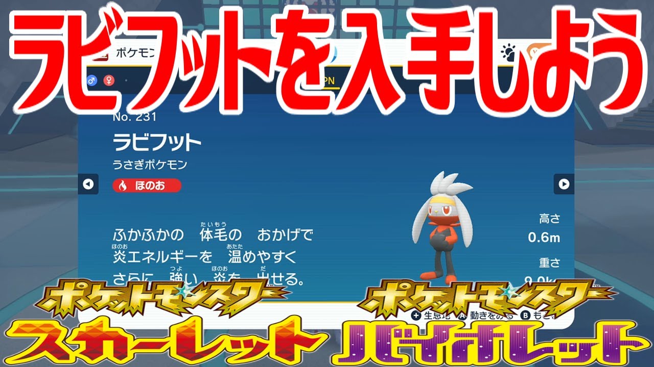 【ポケモンSV】ラビフットを入手しよう 進化入手【ポケットモンスター スカーレット・バイオレット ゼロの秘宝 藍の円盤】Pocket Monsters
