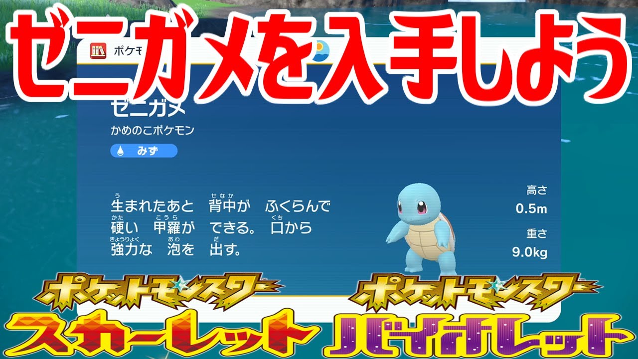 【ポケモンSV】ゼニガメを入手しよう【ポケットモンスター スカーレット・バイオレット ゼロの秘宝 藍の円盤】Pocket Monsters