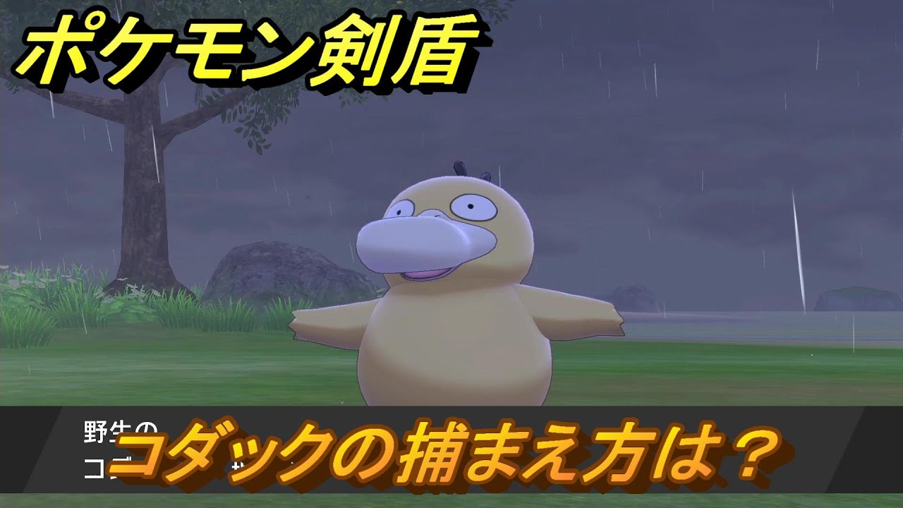 ポケモン剣盾　コダックを捕まえる方法！オススメの場所は？天気は？ポケモン図鑑コンプへの道！　最新版【ポケモンソード・シールド】