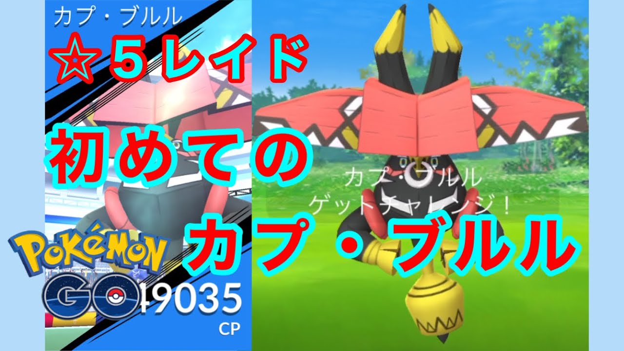 【ポケモンGO】初めてのカプ・ブルル【PokémonGO】
