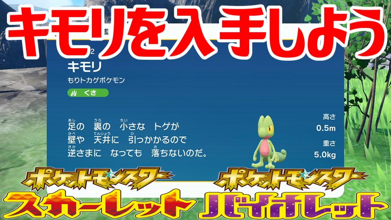 【ポケモンSV】キモリを入手しよう【ポケットモンスター スカーレット・バイオレット ゼロの秘宝 藍の円盤】Pocket Monsters