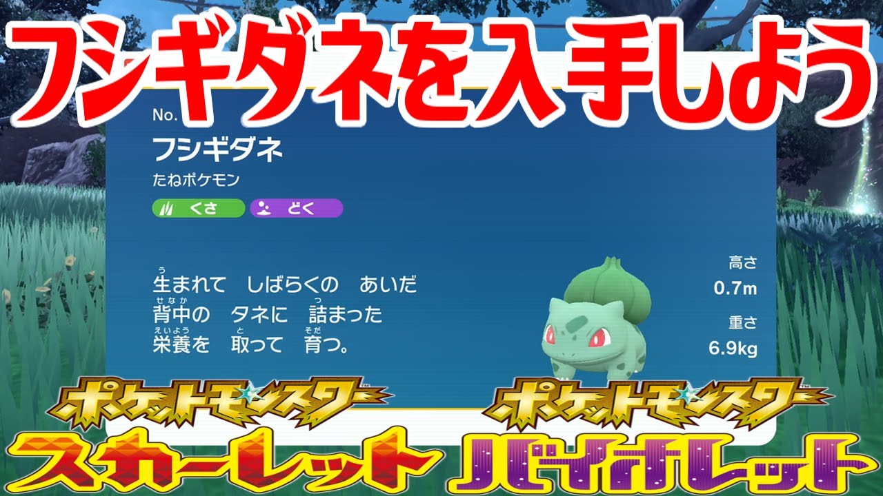 【ポケモンSV】フシギダネを入手しよう【ポケットモンスター スカーレット・バイオレット ゼロの秘宝 藍の円盤】Pocket Monsters