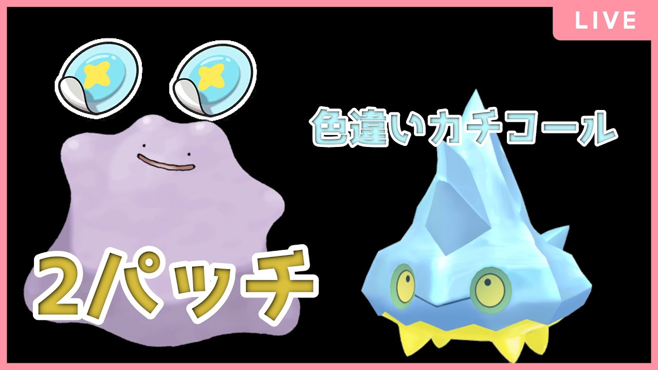 【視聴者参加型！概要欄必読】 色違いカチコール＆パッチ　自動レイド配信枠【ポケモンsv】