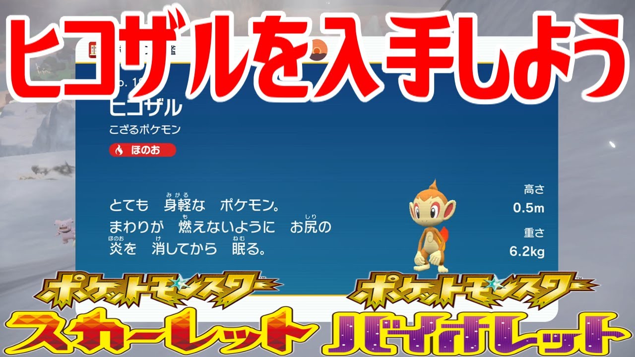 【ポケモンSV】ヒコザルを入手しよう【ポケットモンスター スカーレット・バイオレット ゼロの秘宝 藍の円盤】Pocket Monsters