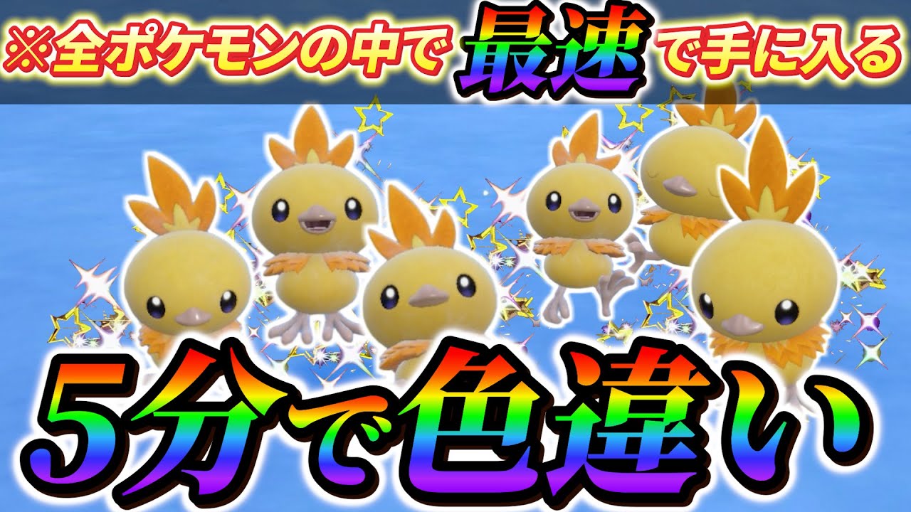 【アチャモ色違い＆バシャーモ色違い ポケモンsv 藍の円盤】最強の場所発見！アチャモの色違いを速攻で手に入れる方法！