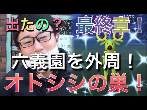 【ポケモンGO】オドシシの巣！六義園を外周し色違いを大捜索！最終章！【Pokémon GO】