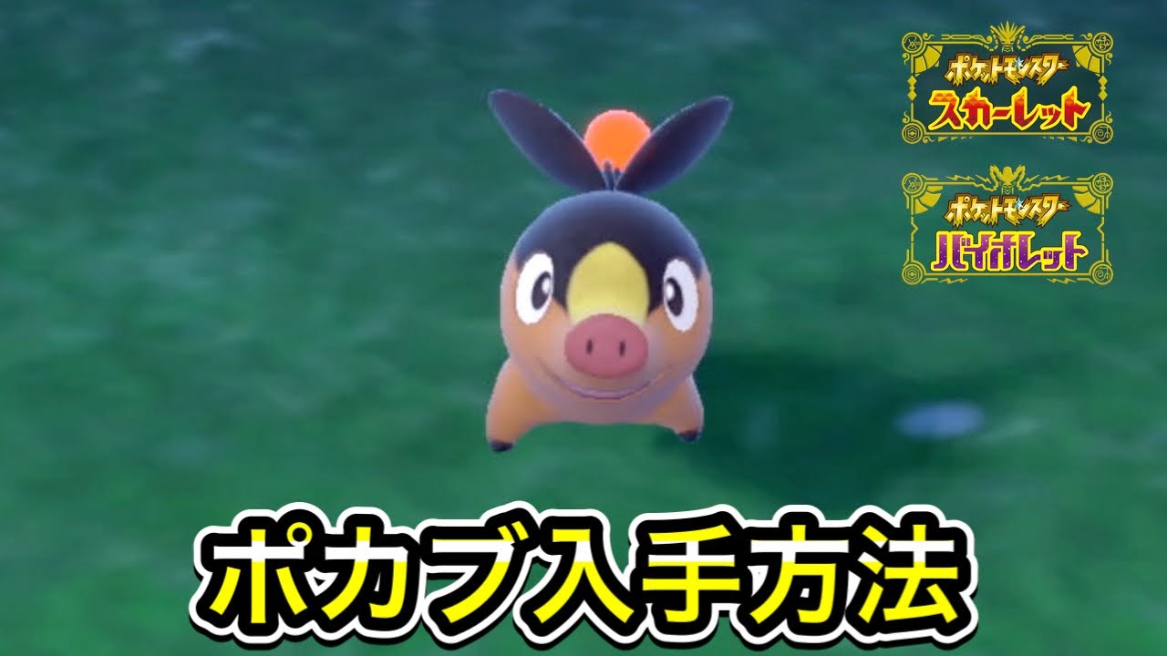 【ポケモンSV】ポカブの入手方法！出現場所を教えます