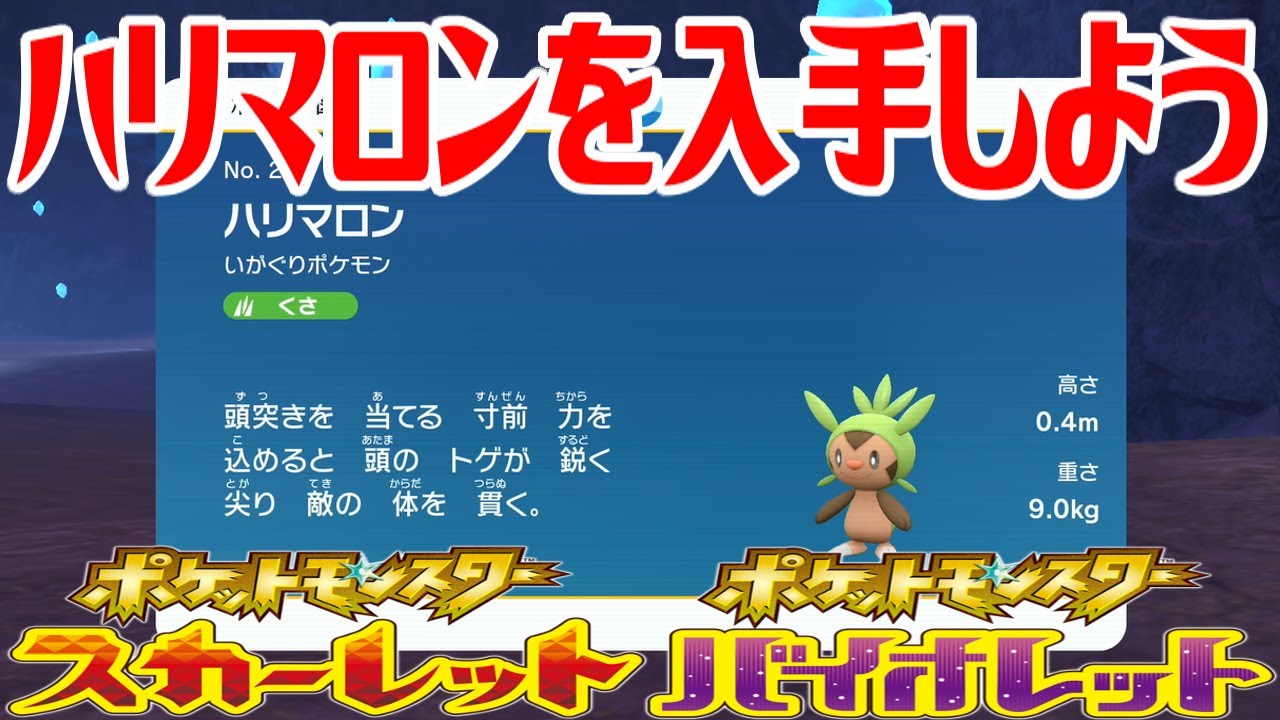 【ポケモンSV】ハリマロンを入手しよう【ポケットモンスター スカーレット・バイオレット ゼロの秘宝 藍の円盤】Pocket Monsters