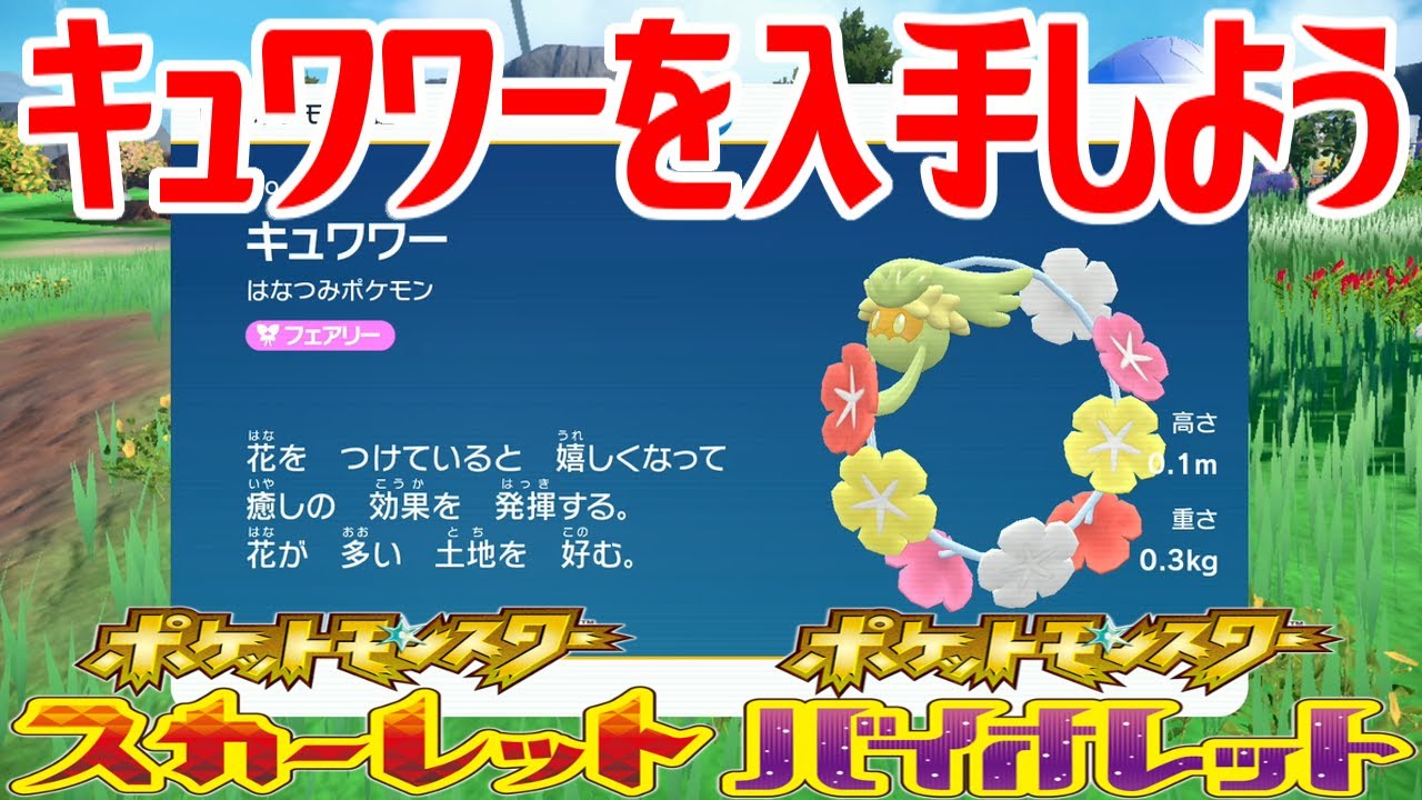 【ポケモンSV】キュワワーを入手しよう【ポケットモンスター スカーレット・バイオレット ゼロの秘宝 藍の円盤】Pocket Monsters
