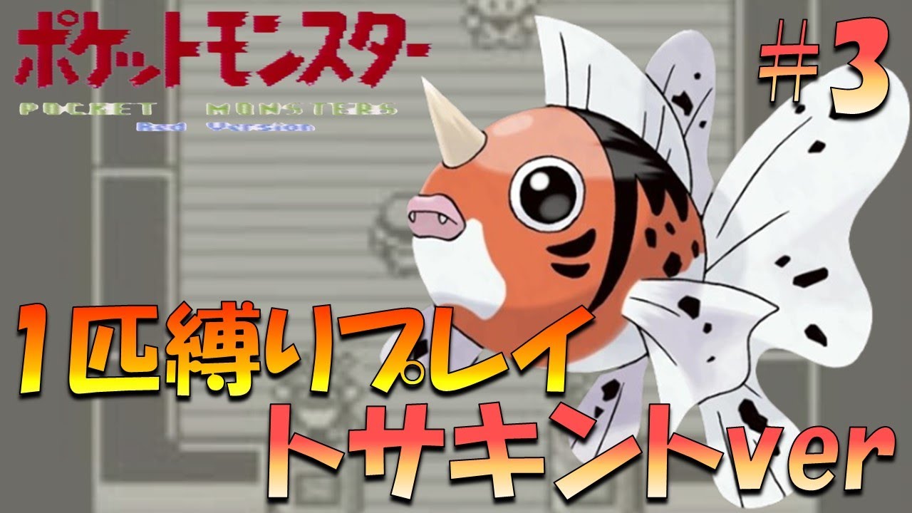 【ポケモン初代】ポケモン1匹縛りプレイ!! トサキントきみに決めた！part 3【ゲーム実況】【縛りプレイ】