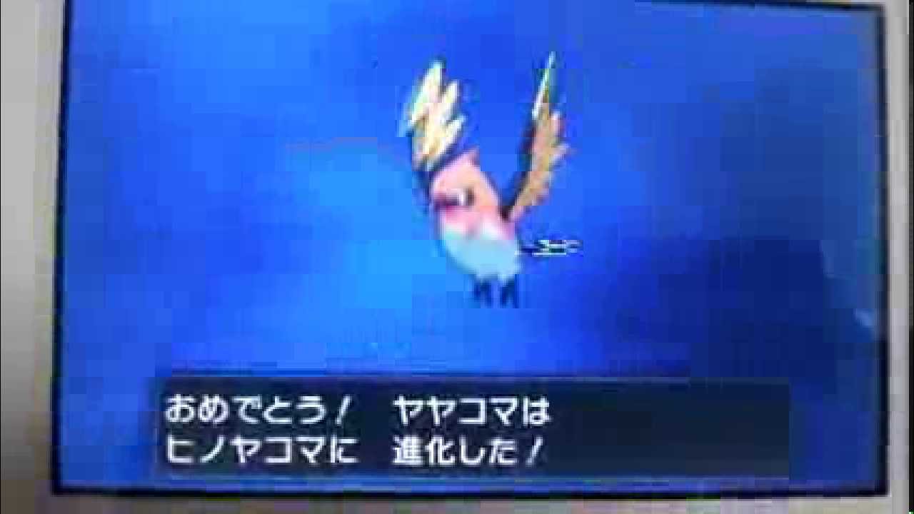ポケットモンスターXY　「ヤヤコマ」進化