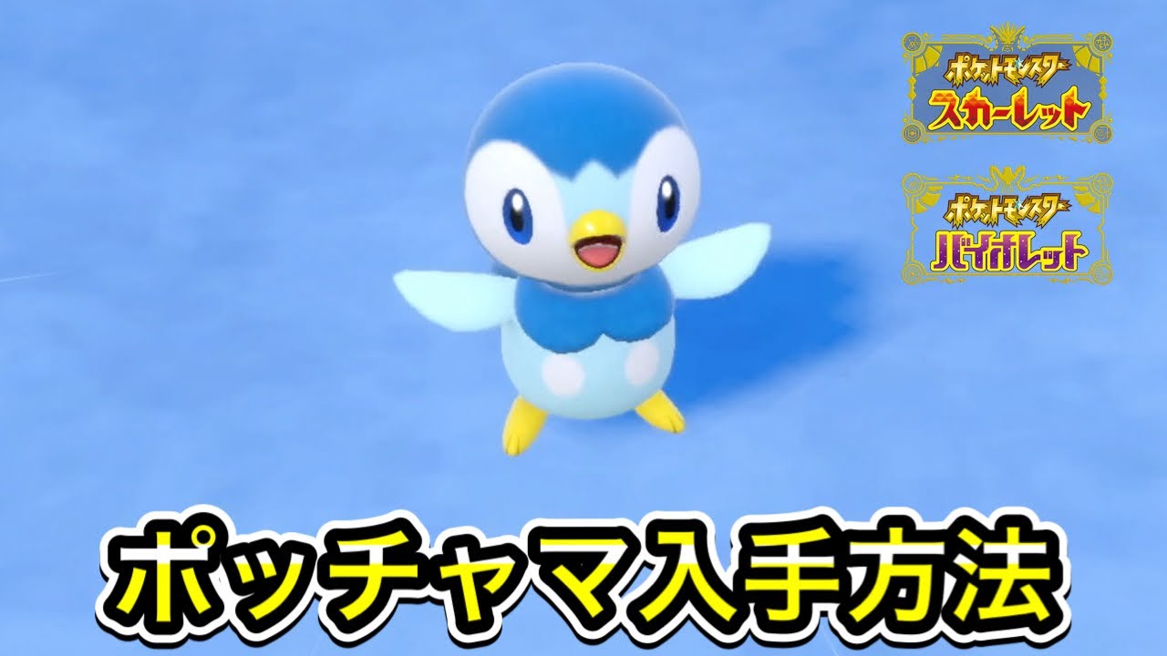 【ポケモンSV】ポッチャマの入手方法！出現場所を教えます