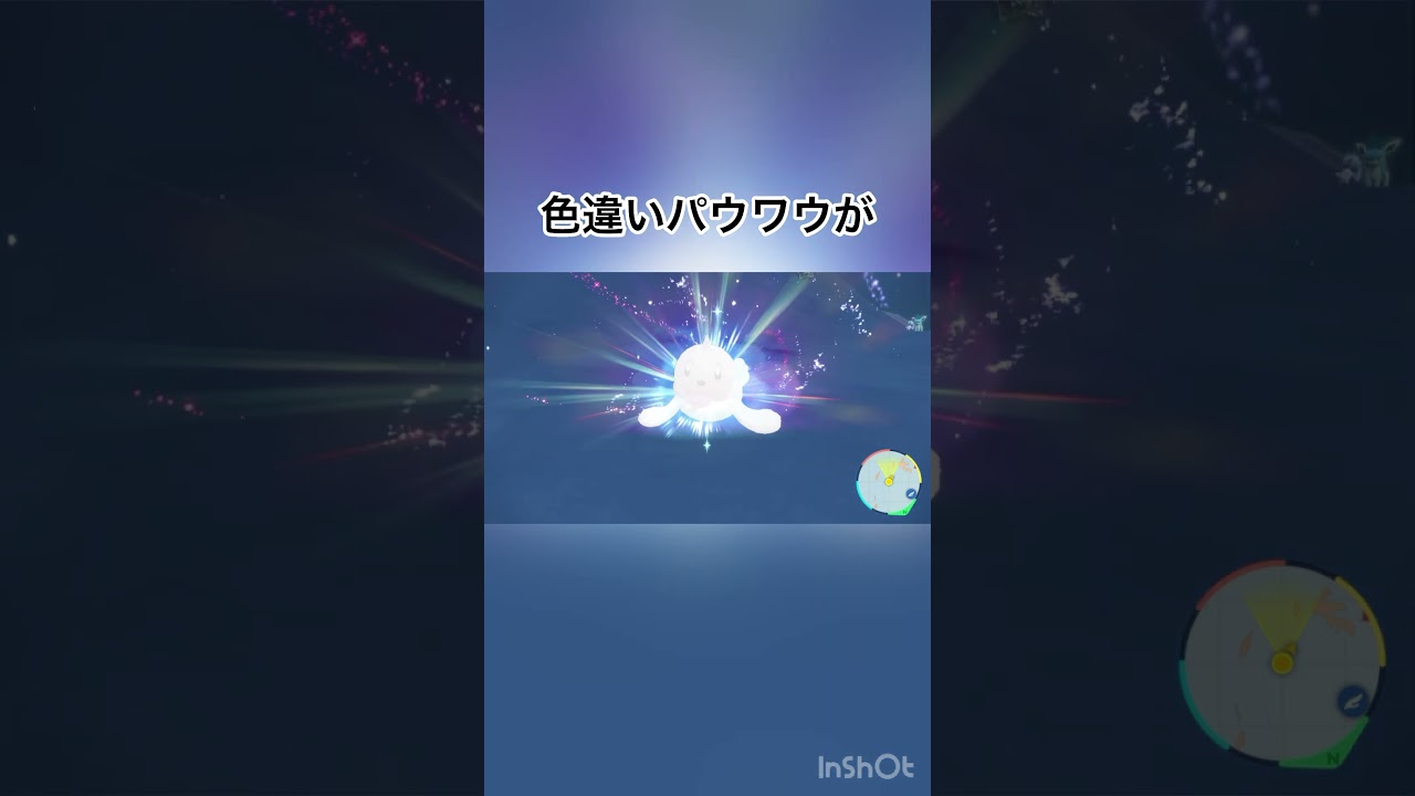【ゼロの秘宝/藍の円盤】　色違いパウワウが色違いジュゴンに進化！大人になった姿も可愛い😍　【ポケモンSV/PokemonSV】