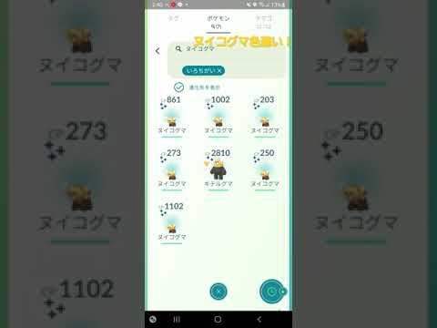ヌイコグマ色違いゲット！