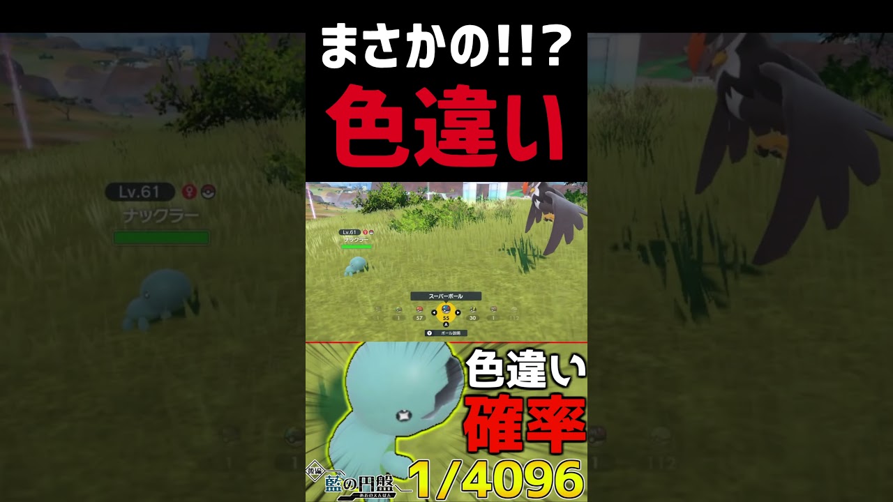 『色違いナックラー』来たァァァ！！！！！！#ポケモンsv #ポケモン #藍の円盤 #shorts #short