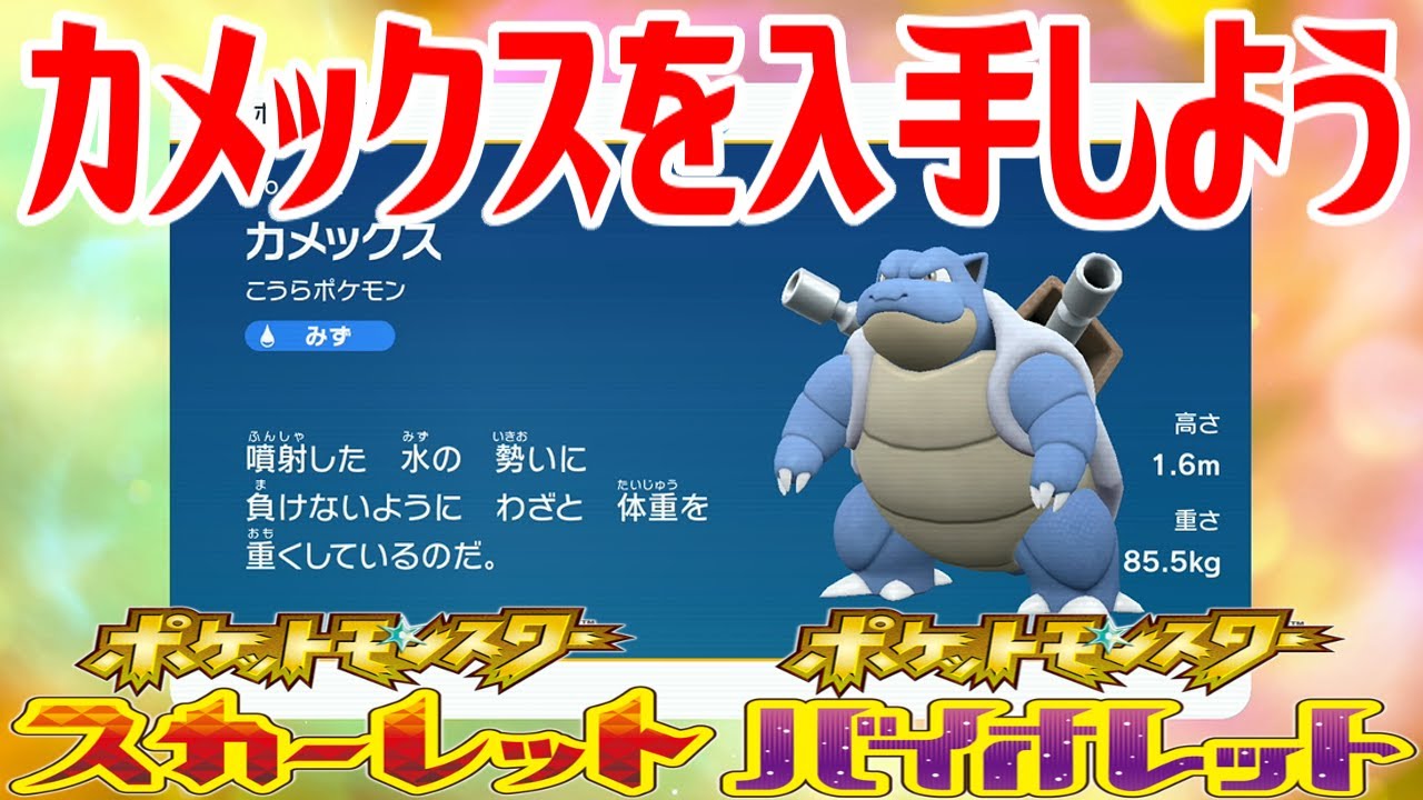 【ポケモンSV】カメックスを入手しよう 進化入手【ポケットモンスター スカーレット・バイオレット ゼロの秘宝 藍の円盤】Pocket Monsters