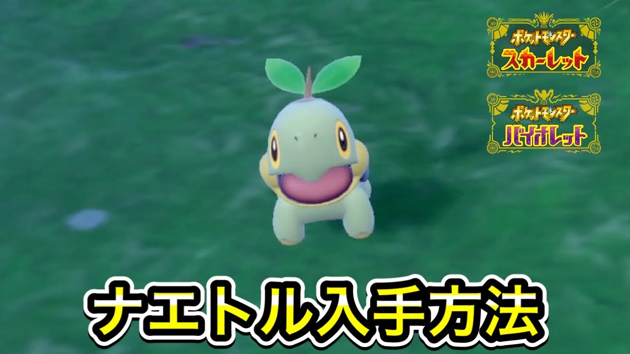 【ポケモンSV】ナエトルの入手方法！出現場所を教えます