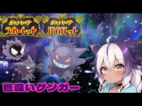 【ポケモンSV】色違いゴース → ゴースト → ゲンガー【ポケットモンスタースカーレットバイオレット】