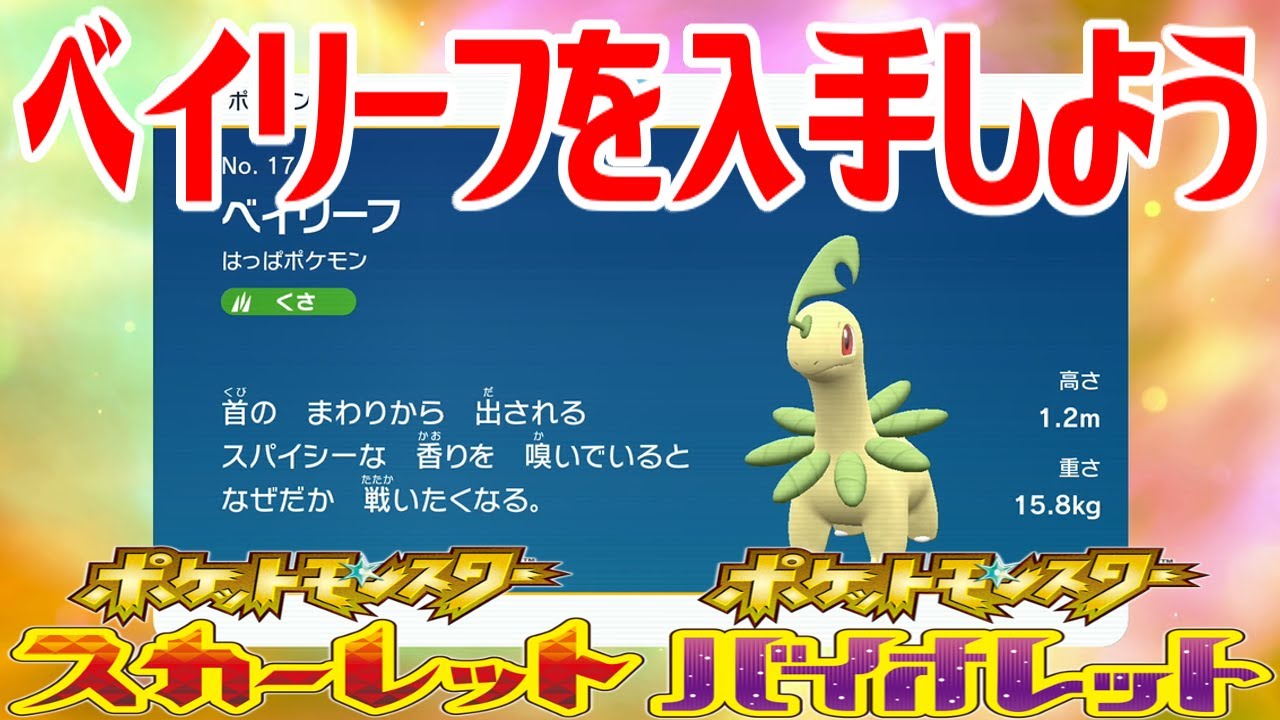 【ポケモンSV】ベイリーフを入手しよう 進化入手【ポケットモンスター スカーレット・バイオレット ゼロの秘宝 藍の円盤】Pocket Monsters