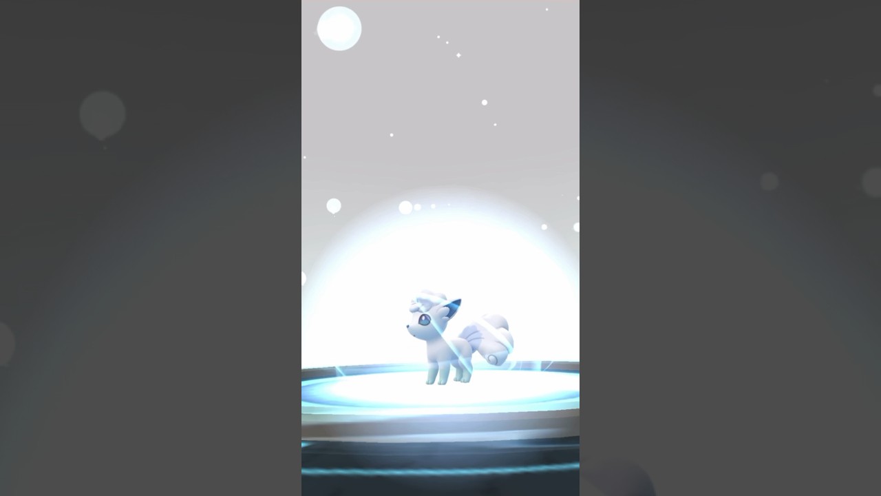 【 ポケモンGO 】  アローラ ロコン　→ アローラ キュウコン ！かわいいし綺麗だし推しの一匹！【 うさぴよの巣 】#pokemongo #ポケモンgo #alolanvulpix