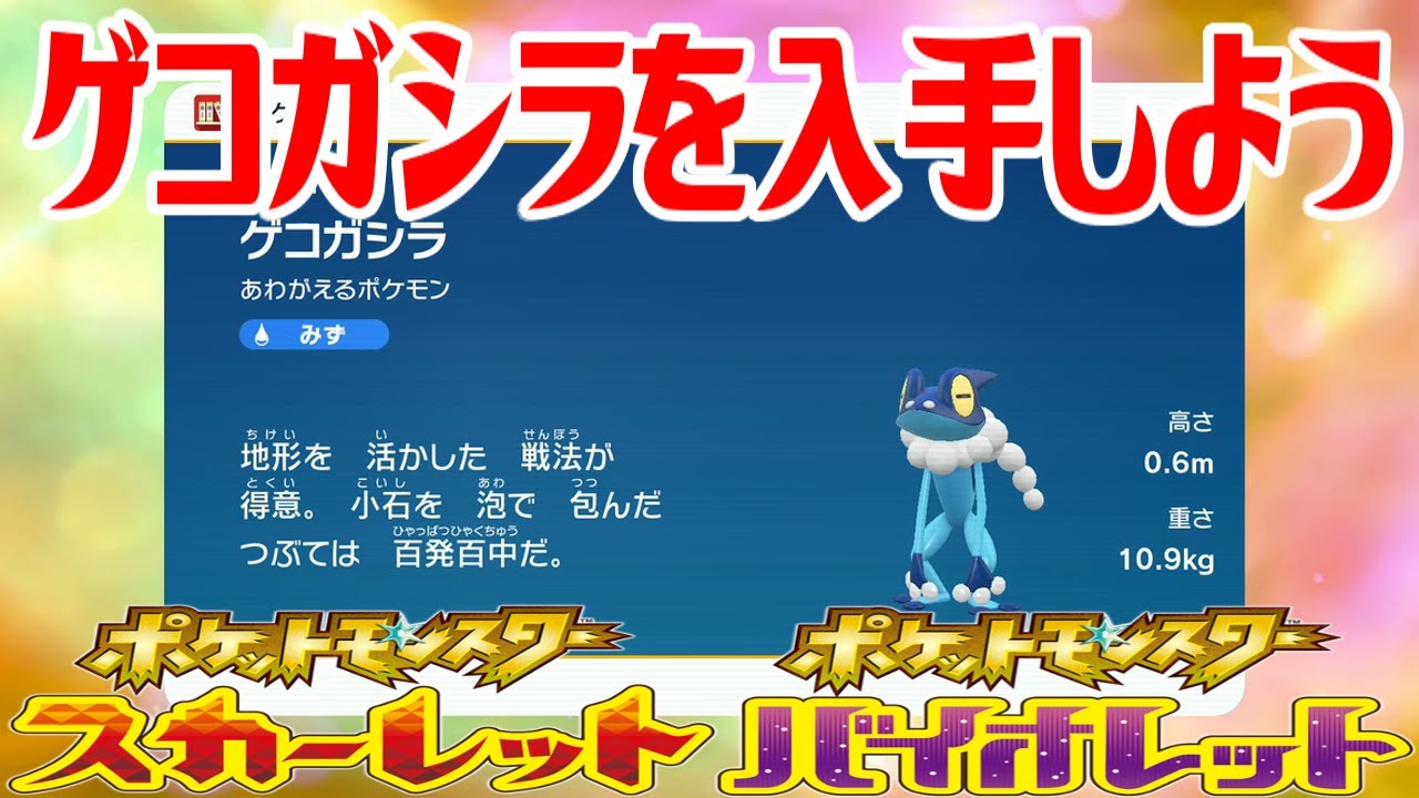 【ポケモンSV】ゲコガシラを入手しよう 進化入手【ポケットモンスター スカーレット・バイオレット ゼロの秘宝 藍の円盤】Pocket Monsters