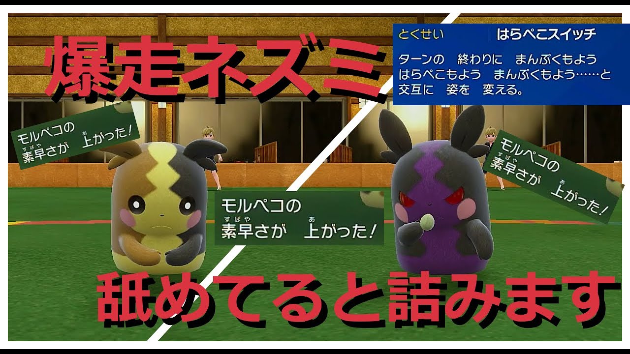 【好きなポケモンで勝ちたい】爆走ネズミの「モルペコ」を舐めてるととんでもないことになります...視聴者リクエスト企画第三弾！【ポケモンSV】