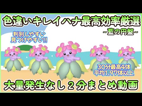 藍の円盤 色違いキレイハナ最高効率２分まとめ 30分最高４体平均1.97体以上#ポケモンsv #最高効率 #色違い #キレイハナ #大量発生なし #藍の円盤