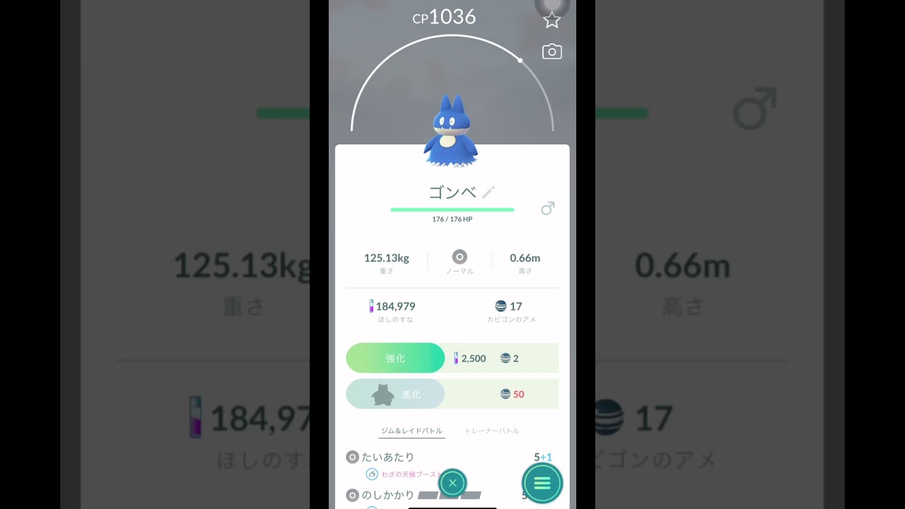 【23日目】たまごから初めてのゴンベが生まれて可愛いなって思ってたらまさかの展開に！？【ポケモンgo】