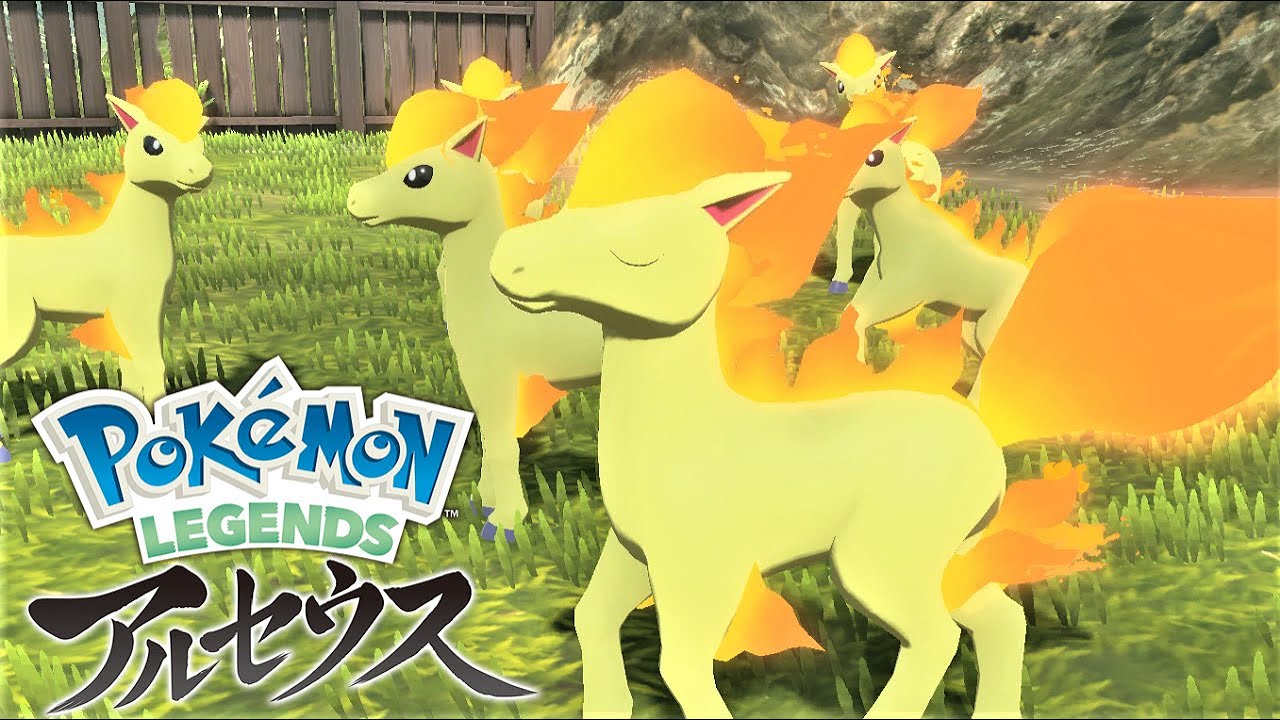 キリっとしたポニータ６匹に囲まれて癒されたい【ポケモンレジェンズアルセウス】