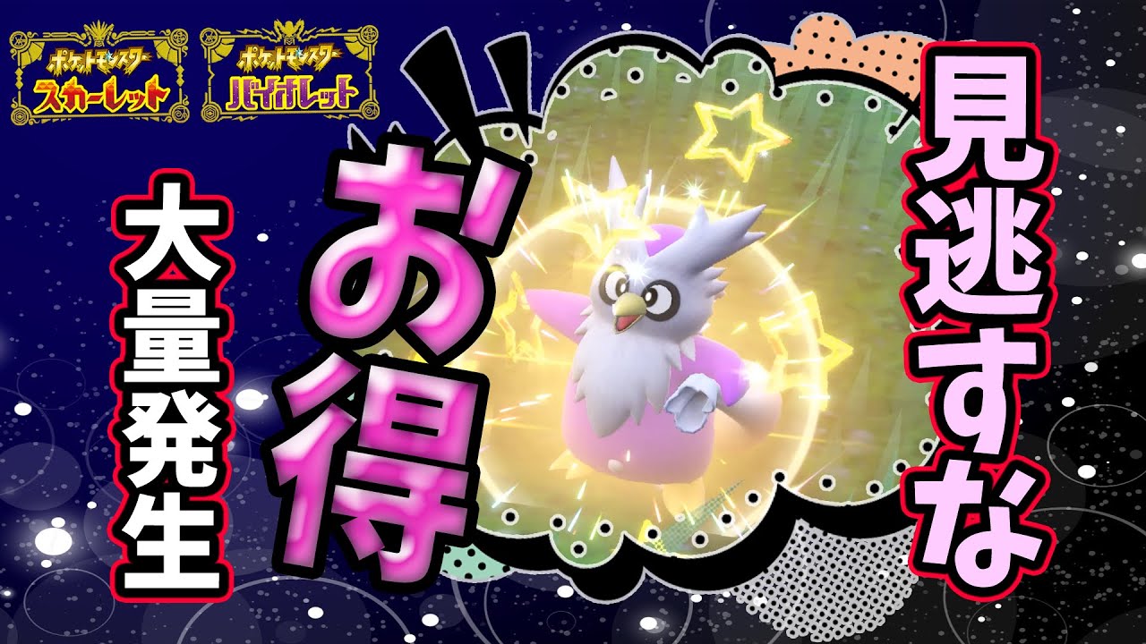 【ポケモンSV】これはお得！デリバード大量発生！色違い本当にでるのか？検証！ガチャに必要な落とし物もたくさん集まる！ポケモンスカーレットバイオレット