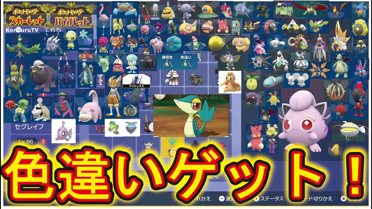 【#ポケモンスカーレットバイオレット藍の円盤】視聴者参加型！スパイス奢ります！ツタージャ色違い証持ち出るか！？マルチライブ配信！