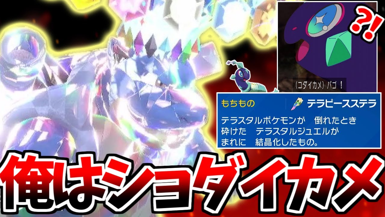自分をテラパゴスと信じてやまない一般カメックスが「テラピース ステラ」を持って戦うようです【ポケモンSV】【ゆっくり実況】