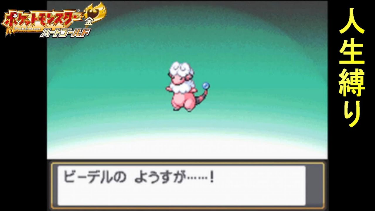 【レベル上げ回】出会いと別れ！モココ進化の時！【ポケットモンスターハートゴールド　人生縛り】#12